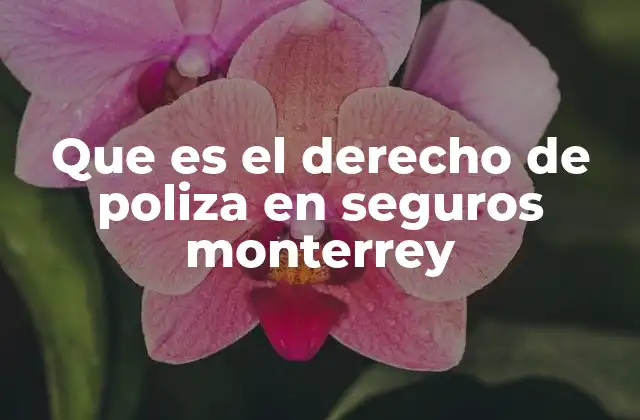 Que es el Derecho de Poliza en Seguros Monterrey