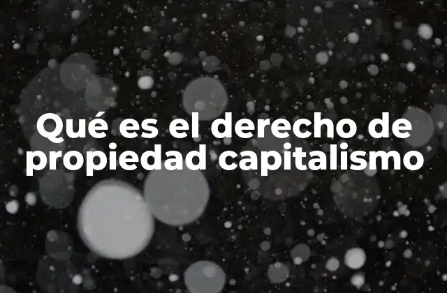 Qué es el Derecho de Propiedad Capitalismo 2 La base del capitalismo: la propiedad privada como motor económico