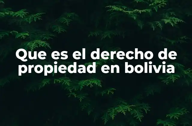 Que es el Derecho de Propiedad en Bolivia