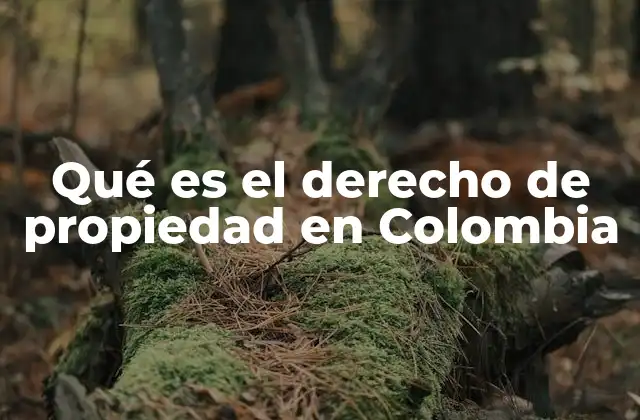 Qué es el Derecho de Propiedad en Colombia