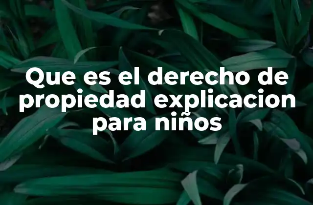 Que es el Derecho de Propiedad Explicacion para Niños