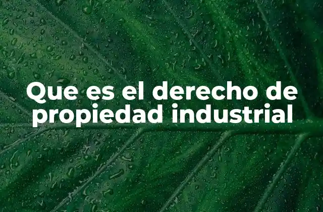 Que es el Derecho de Propiedad Industrial
