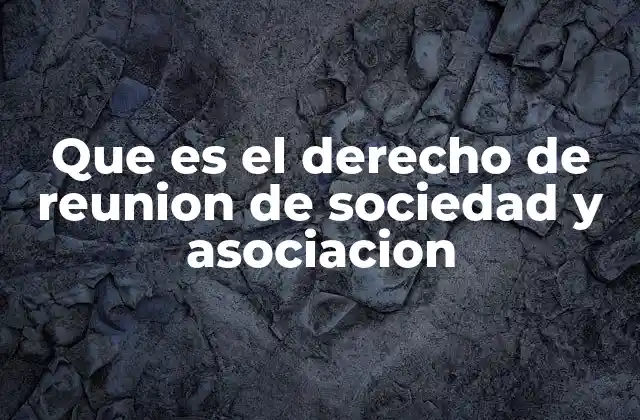 Que es el Derecho de Reunion de Sociedad y Asociacion