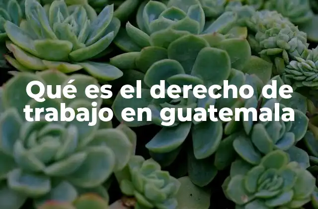 Qué es el Derecho de Trabajo en Guatemala