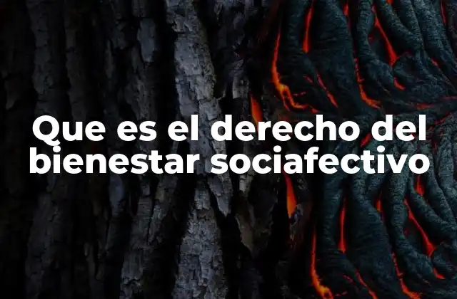 Que es el Derecho Del Bienestar Sociafectivo