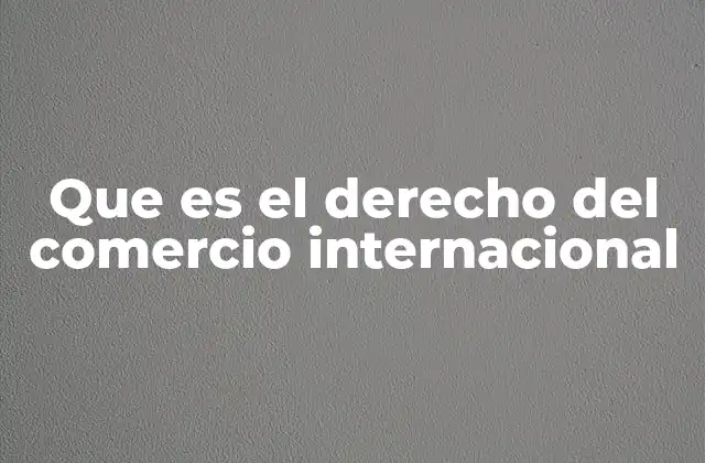 Que es el Derecho Del Comercio Internacional