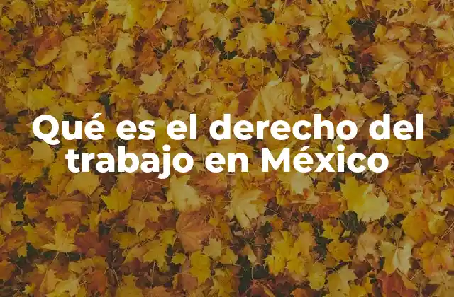 Qué es el Derecho Del Trabajo en México