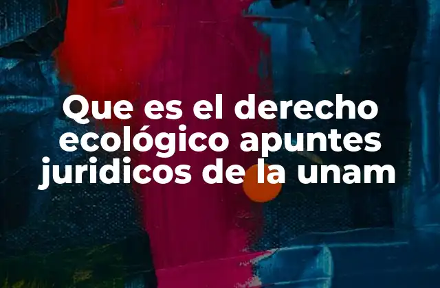 Que es el Derecho Ecológico Apuntes Juridicos de la Unam