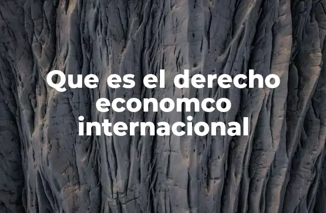Que es el Derecho Economco Internacional