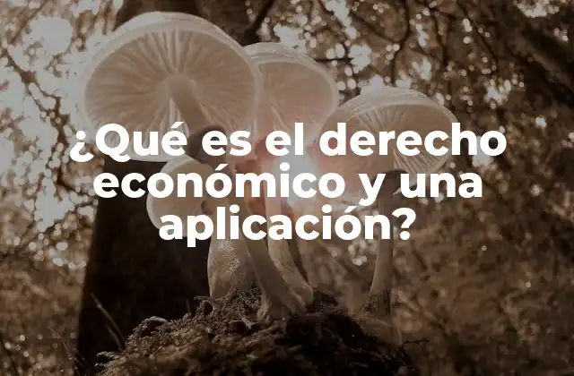 ¿qué es el Derecho Económico y una Aplicación?