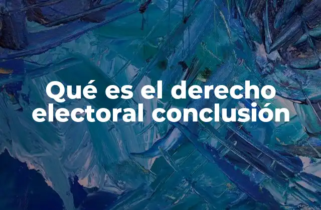 El papel del derecho electoral en la organización democrática
