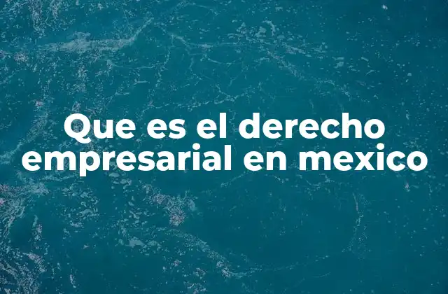 Que es el Derecho Empresarial en Mexico