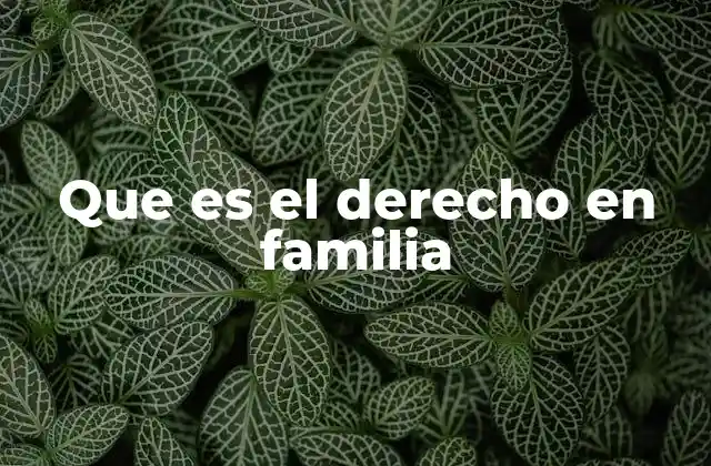 Que es el Derecho en Familia 2 El papel del derecho en la vida cotidiana de las familias