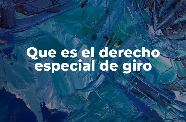 Que es el Derecho Especial de Giro