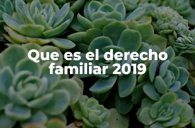 Que es el Derecho Familiar 2019