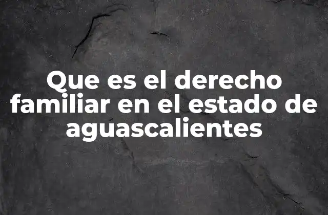 La importancia del derecho familiar en la sociedad aguascalentense