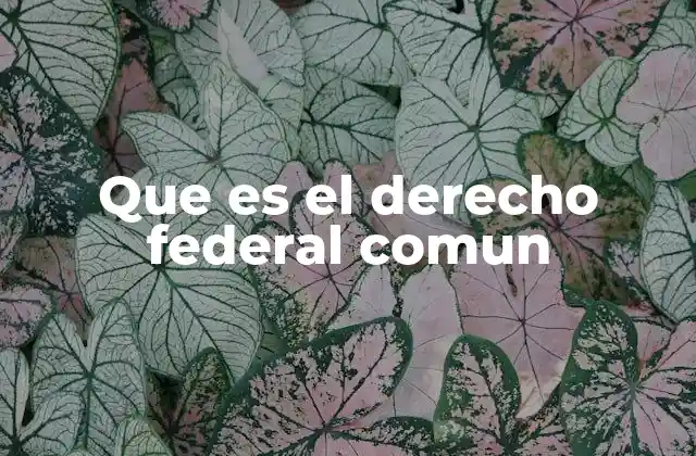 Que es el Derecho Federal Comun
