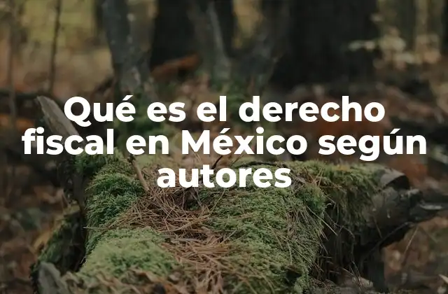Qué es el Derecho Fiscal en México según Autores