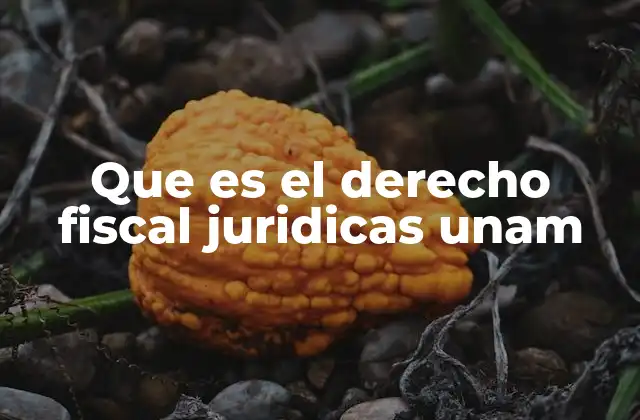 Que es el Derecho Fiscal Juridicas Unam