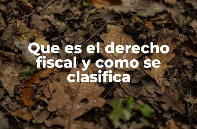 Que es el Derecho Fiscal y como Se Clasifica 2 El derecho fiscal como herramienta del Estado