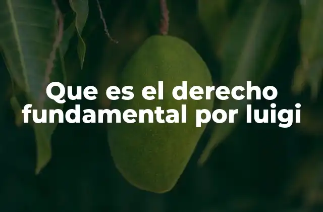 Que es el Derecho Fundamental por Luigi