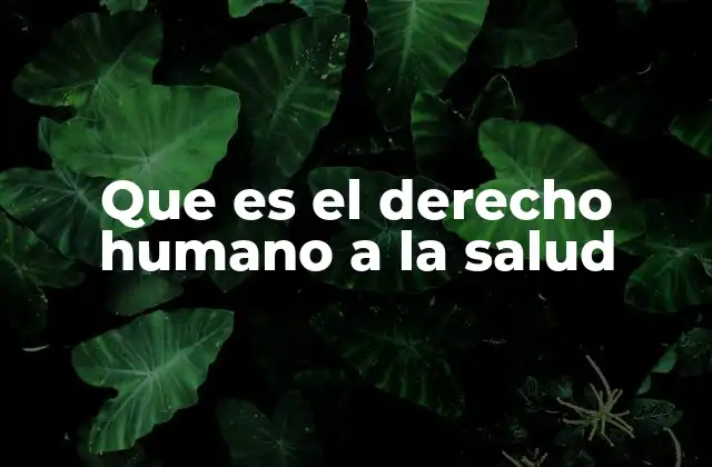 Que es el Derecho Humano a la Salud