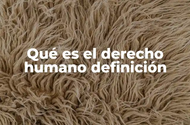 Qué es el Derecho Humano Definición