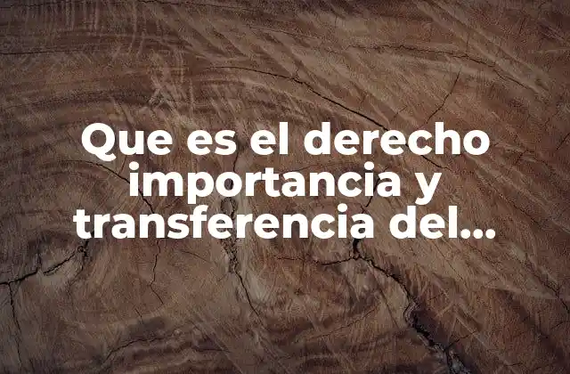 Que es el Derecho Importancia y Transferencia Del Derecho