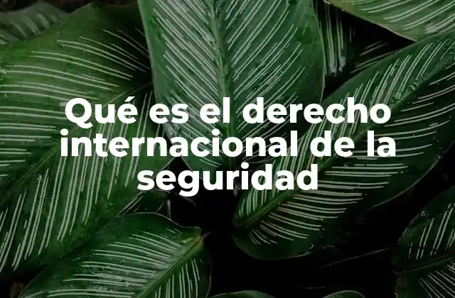 Qué es el Derecho Internacional de la Seguridad