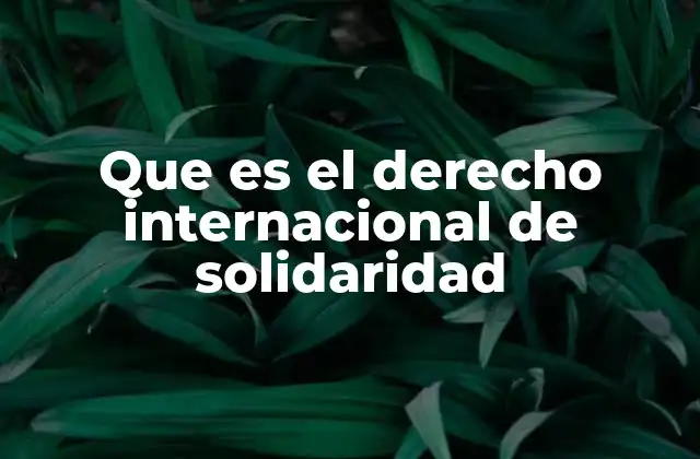 Que es el Derecho Internacional de Solidaridad