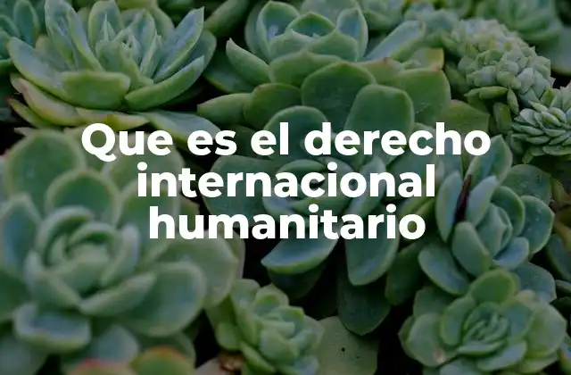 Cómo el derecho internacional humanitario protege a las personas en tiempos de guerra