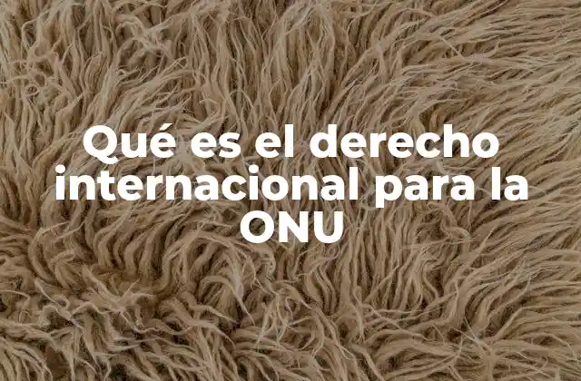 El papel de la ONU en la evolución del derecho internacional