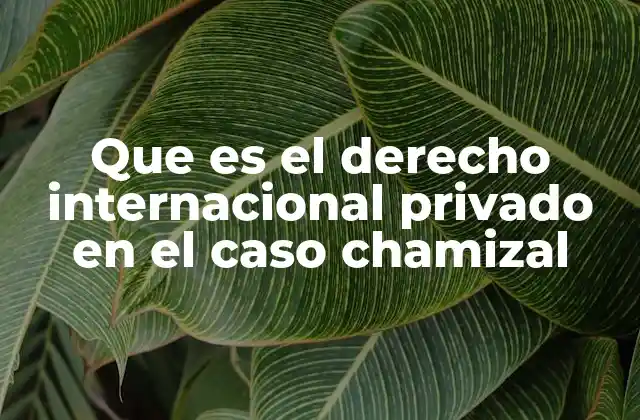 Que es el Derecho Internacional Privado en el Caso Chamizal