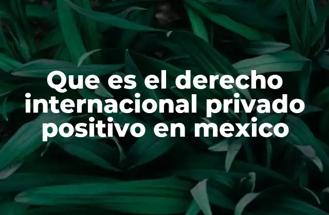 El papel del derecho internacional privado en el sistema legal mexicano