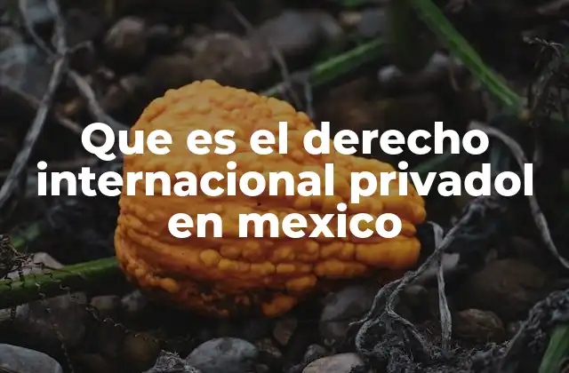 Que es el Derecho Internacional Privadol en Mexico