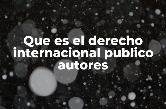 Que es el Derecho Internacional Publico Autores
