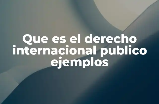 Las bases del derecho internacional público