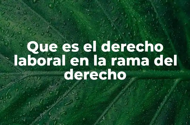 Que es el Derecho Laboral en la Rama Del Derecho