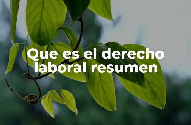 Que es el Derecho Laboral Resumen