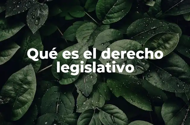 Qué es el Derecho Legislativo