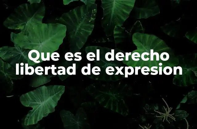 Que es el Derecho Libertad de Expresion
