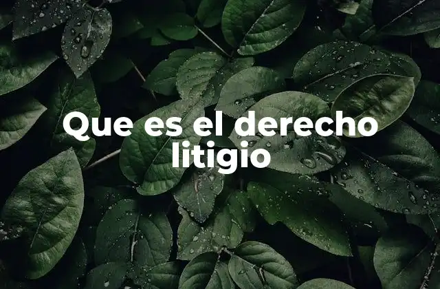 El proceso legal como herramienta para resolver conflictos