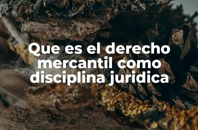 Que es el Derecho Mercantil como Disciplina Juridica