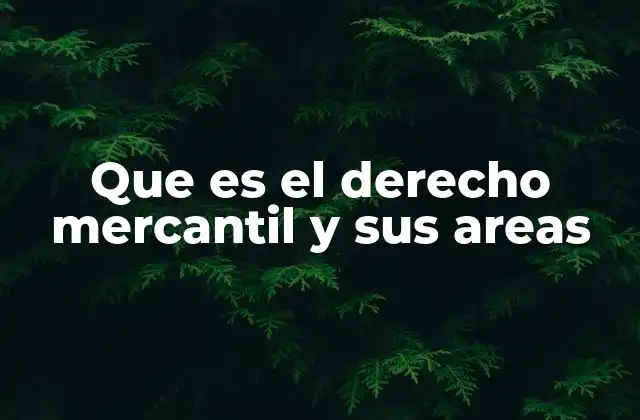 Que es el Derecho Mercantil y Sus Areas