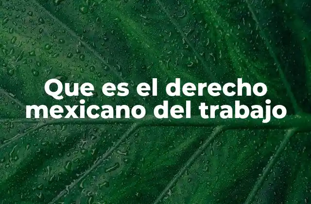 Que es el Derecho Mexicano Del Trabajo