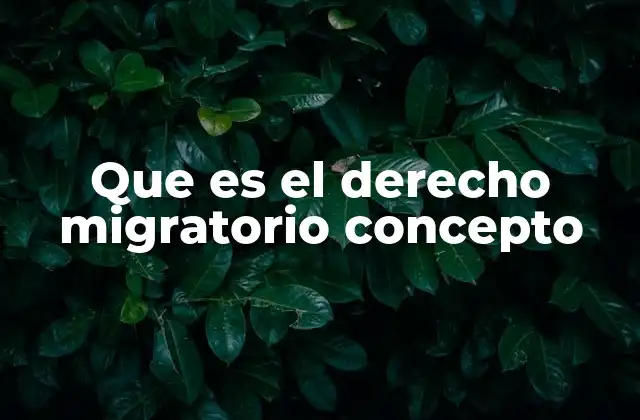 La importancia del derecho migratorio en el contexto global