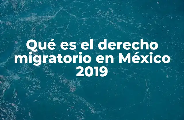 Qué es el Derecho Migratorio en México 2019