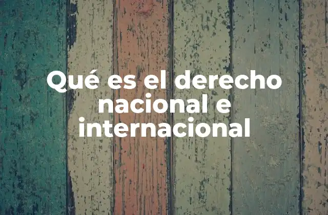 El papel del derecho en la gobernanza global y local