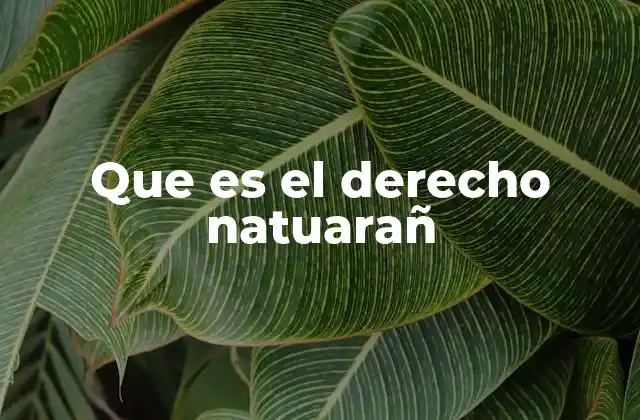 Que es el Derecho Natuarañ