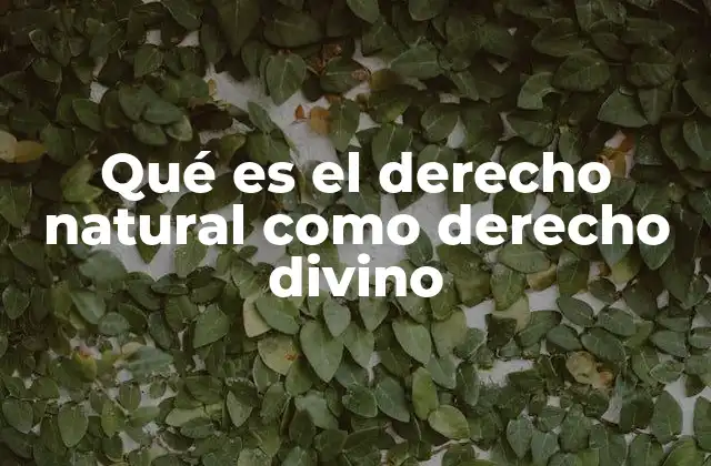 Qué es el Derecho Natural como Derecho Divino